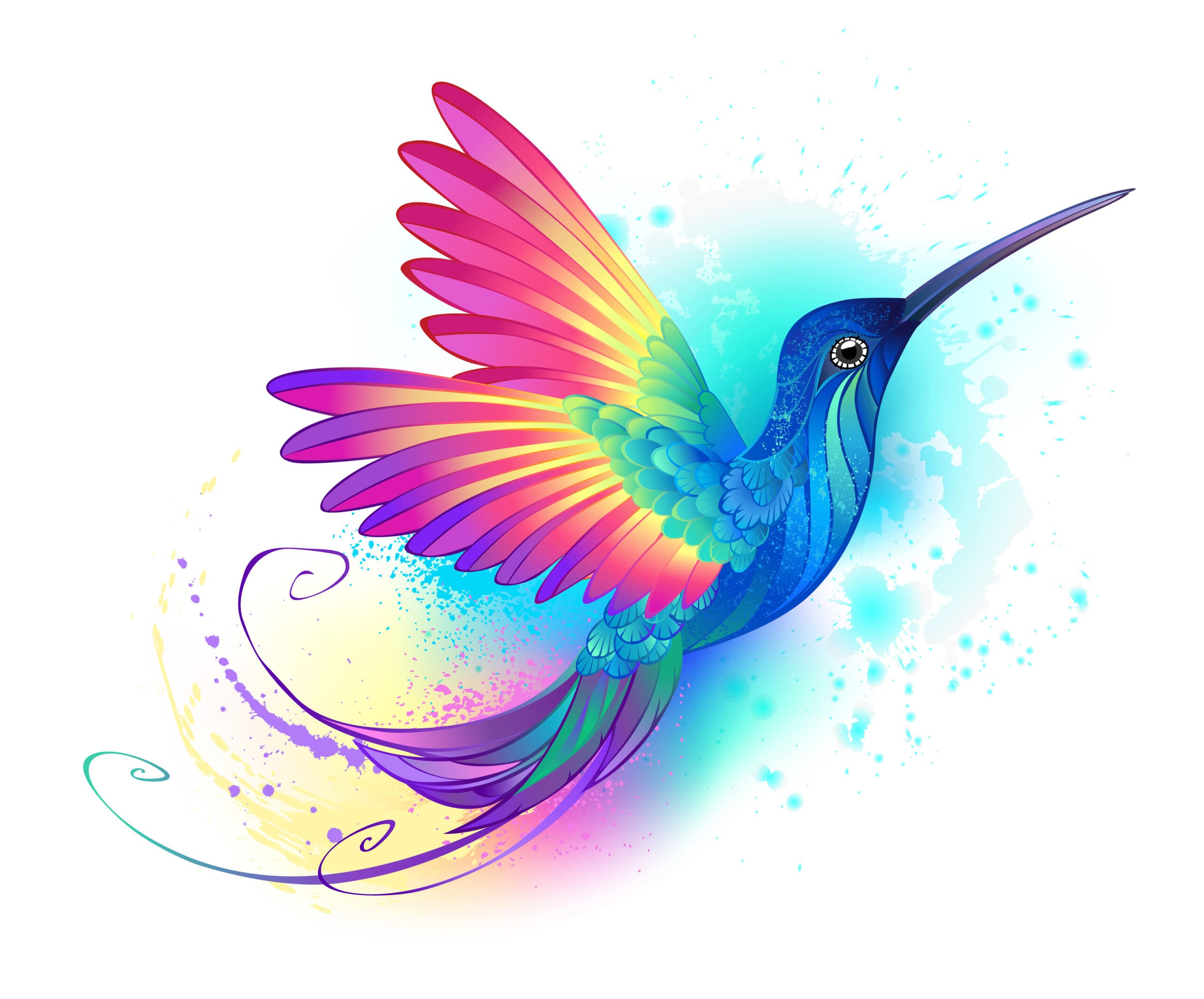 rainbow humming bird